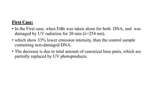 First Case:
• In the First case, when EtBr was taken alone for both DNA, and was
damaged by UV radiation for 20 min (λ=254 nm).
• which show 33% lower emission intensity, than the control sample
containing non-damaged DNA.
• The decrease is due to total amount of canonical base pairs, which are
partially replaced by UV photoproducts.
 
