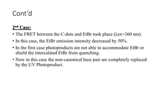 Cont’d
2nd Case:
• The FRET between the C-dots and EtBr took place (λex=360 nm).
• In this case, the EtBr emission intensity decreased by 50%.
• In the first case photoproducts are not able to accommodate EtBr or
shield the intercalated EtBr from quenching.
• Now in this case the non-canonical base pair are completely replaced
by the UV Photoproduct.
 