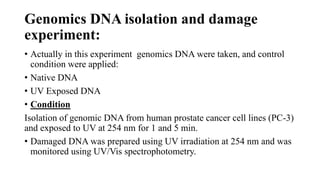 Genomics DNA isolation and damage
experiment:
• Actually in this experiment genomics DNA were taken, and control
condition were applied:
• Native DNA
• UV Exposed DNA
• Condition
Isolation of genomic DNA from human prostate cancer cell lines (PC-3)
and exposed to UV at 254 nm for 1 and 5 min.
• Damaged DNA was prepared using UV irradiation at 254 nm and was
monitored using UV/Vis spectrophotometry.
 