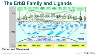 The ErbB Family and Ligands
LIGANDS
RECEPTOR
DIMERS
ADAPTORS
&ENZYMES
p21-GDP
p21-GTP
INPUT
LAYER
HIDDEN
LAYERS
LIGANDS
RECEPTOR
DIMERS
1 1
1 4
4 4
3 4
3 3
NRG1
(3,4)
α β
NRG3
(4)
AMPHI-
REGULIN
(1)
HB-EGF
(1,4)
BET A-
CELLULIN
(1)
EPIREGULIN
(1,4)
TGF α
(1)
LP A
Thrombin
ET, etc.
CYT OKINES
NRG2
(4)
βα
SRC
CBL
PLC γ
PI3K SHP2 GAP NCK
GRB7
CRK
JAK
SHC
GRB2
SOS
ADAPTORS
&ENZYMES
CASCADES
TRANSCRIPTION
FACT ORS
AKT
S6KBAD
PAK
JNK
JNKK
RAF
MAPK
MEK ABL
PKC
SP1 EGR1MYC ELK STAT
JUN
FOS
OUTPUT
LAYER MIGRA TIONAPOPT OSIS GROWTH DIFFERENTIA TIONADHESION
3 22 2
1 2
1 3
EGF
(1)
NRG4
(4)
p21-GDP
p21-GTP
VAV
RAC
4 2
Yarden and Sliwkowski
 
