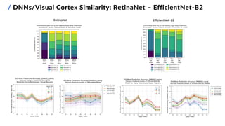 / DNNs/Visual Cortex Similarity: RetinaNet – EfficientNet-B2
RetinaNet EfficientNet-B2
 