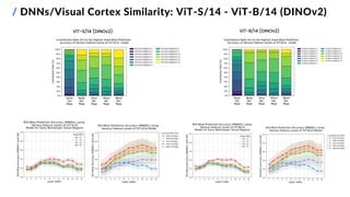 / DNNs/Visual Cortex Similarity: ViT-S/14 - ViT-B/14 (DINOv2)
ViT-S/14 (DINOv2) ViT-B/14 (DINOv2)
 