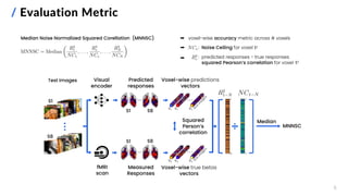 / Evaluation Metric
5
Median Noise Normalized Squared Corellation (MNNSC) ➨ voxel-wise accuracy metric across 𝑁 voxels
➨ : Noise Ceiling for voxel
predicted responses - true responses
squared Pearson’s correlation for voxel
➨ :
Test Images
Measured
Responses
Voxel-wise true betas
vectors
fMRI
scan
Squared
Person’s
correlation
Median
MNNSC
S1
S8
Predicted
responses
S1 S8
Voxel-wise predictions
vectors
S1 S8
Visual
encoder
 