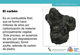 http://iespoetaclaudio.centros.educa.jcyl.es/sitio/upload/carbon.swf
Animación: la formación del carbón
 