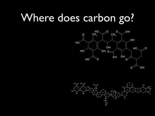 Where does carbon go?
 