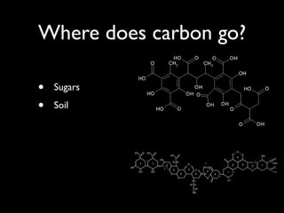 Where does carbon go?

•   Sugars

•   Soil
 