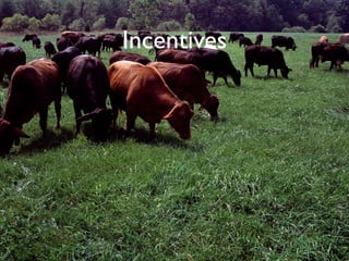 Incentives
 