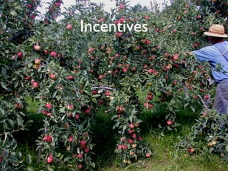 Incentives
 