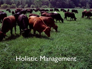 Holistic Management
 