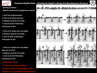 Yeomans Keyline Plow – Plowing for Rapid & Cheap Soil Development (Pasture)



                                                     Soil conditioning
Existing Condition:

Shallow, Compacted, Drought-Prone Topsoil


1. Soil Test & Remineralise

2. Plow to 2” below hard pan

3. Remove stock for 4-6 weeks

4. Just at onset of flowering:

Hard graze to 2-4”


1. Plow to 2” below new root depth

2. Remove stock for 4-6 weeks

3. Just at onset of flowering:

Hard graze to 2-4”




1. Plow to 2” below new root depth:

Max out at 12-15”

2. Remove stock for 4-6 weeks

3. Just at onset of flowering:

Hard graze to 2-4”

And Another Thing:

1% increase in Organic Matter =

63 ton/ac capture in Atmospheric CO2 !

(That’s twice your total annual emissions)
 