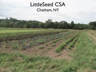 LittleSeed CSA
  Chatham, NY
 