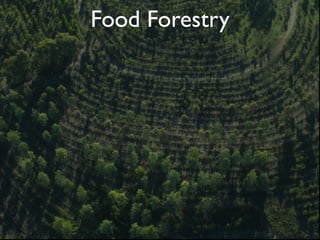 Food Forestry




                52
 