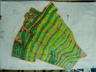 Macedonia ‐ Design




                     Photo: Andrew Jones
 