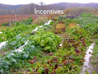 Incentives
 