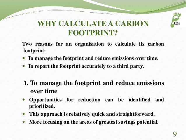 Thesis For An Essay Essay On Healthcare also Bullying Essay Thesis Reducing Our Carbon Footprint Essay Proposal Essay Topics Examples