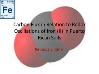 Carbon Flux in Relation to Redox
Oscillations of Iron (II) in Puerto
           Rican Soils

          Rebecca Lindner
 