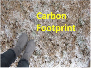 CarbonFootprint,[object Object]