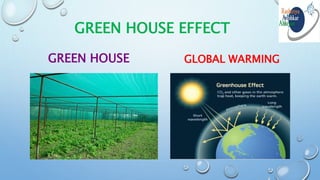 GREEN HOUSE EFFECT
GREEN HOUSE GLOBAL WARMING
 
