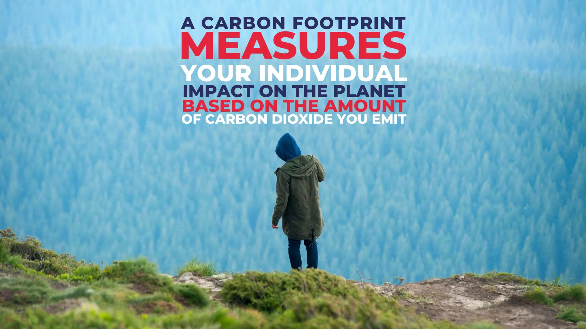 Carbon footprint module slides | PPT