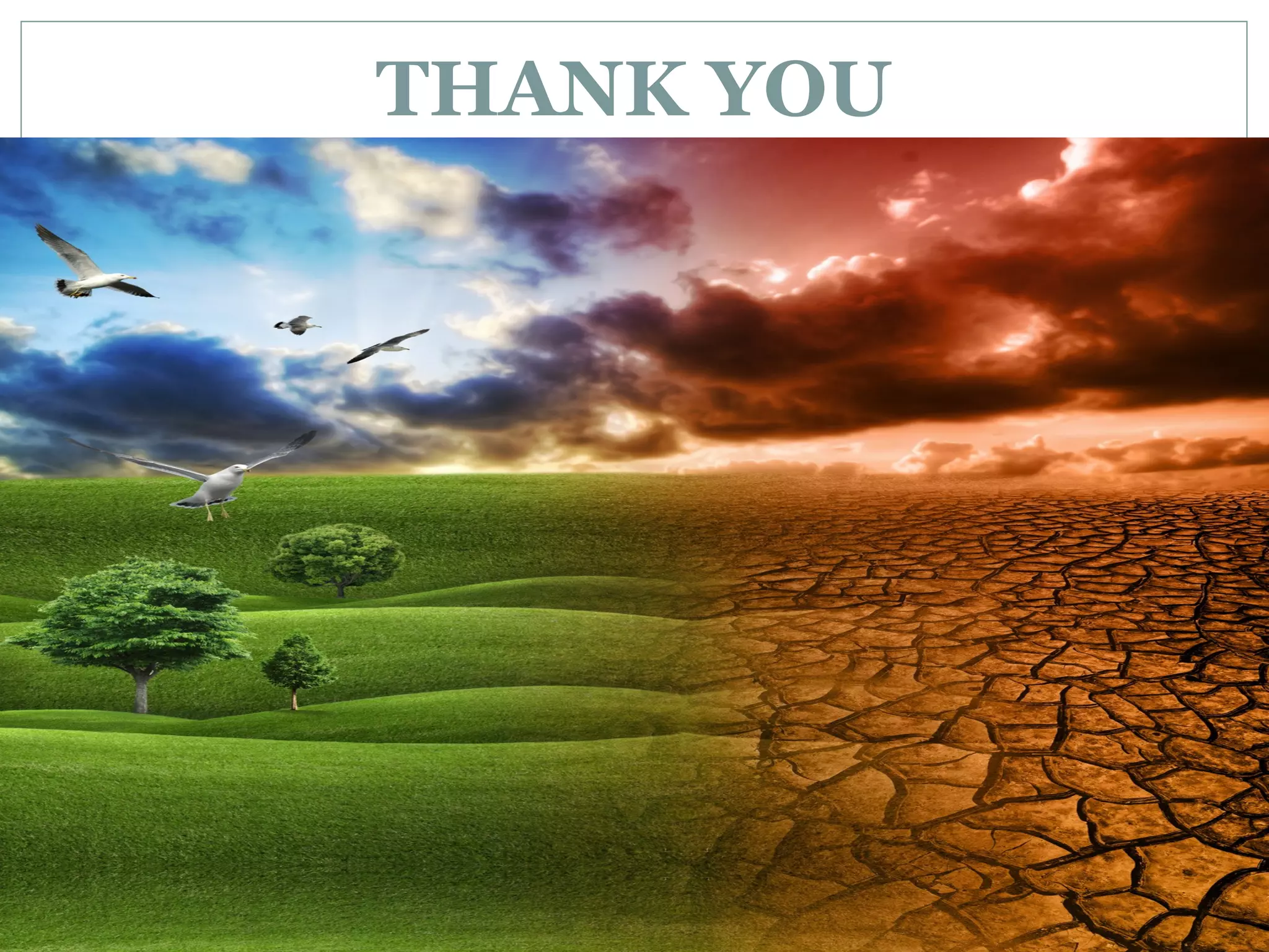 THANK YOU

THANK YOU

 