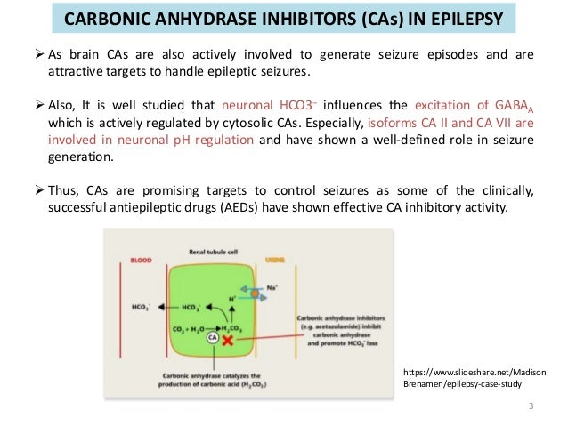 where do carbonic anhydrase inhibitors work