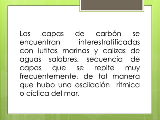 Las    capas    de     carbón      se
encuentran        interestratificadas
con lutitas marinas y calizas de
aguas salobres, secuencia de
capas que se repite muy
frecuentemente, de tal manera
que hubo una oscilación rítmica
o cíclica del mar.
 