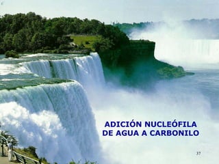 ADICIÓN NUCLEÓFILA
DE AGUA A CARBONILO

                  37
 