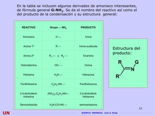 En la tabla se incluyen algunos derivados de amoniaco interesantes,
     de fórmula general G-NH2. Se da el nombre del reactivo así como el
     del producto de la condensación y su estructura general:


        REACTIVO           Grupo ⎯ NH2       PRODUCTO


        Amoniaco               H⎯                Imina


         Amina 1ª              R⎯           Imina sustituida
                                                                        Estructura del
                                                                        producto:
         Amina 2ª          R1 ⎯ y R2 ⎯         Enamina


       Hidroxilamina          HO ⎯              Oxima
                                                                                R       G
                                                                                    N
         Hidrazina            H2N ⎯           Hidrazona
                                                                           R'
       Fenilhidrazina       C6H5-HN ⎯       Fenilhidrazona


      2,4-dinitrofenil-   (NO2)2-C6H3-NH⎯   2,4-dinitrofenil-
         hidrazina                            hidrazona


      Semicarbazida        H2N-CO-HN ⎯      semicarbazona
                                                                                            53
UN                                            QUÍMICA ORGÁNICA. Juan A. Palop
 