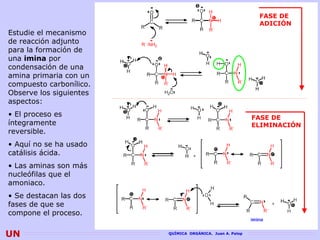 FASE DE
                                                            ADICIÓN
Estudie el mecanismo
de reacción adjunto
para la formación de
una imina por
condensación de una
amina primaria con un
compuesto carbonílico.
Observe los siguientes
aspectos:
• El proceso es                                            FASE DE
íntegramente                                               ELIMINACIÓN
reversible.
• Aquí no se ha usado
catálisis ácida.
• Las aminas son más
nucleófilas que el
amoniaco.
• Se destacan las dos
fases de que se
compone el proceso.
                                                                  54
UN                       QUÍMICA ORGÁNICA. Juan A. Palop
 