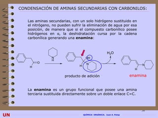 CONDENSACIÓN DE AMINAS SECUNDARIAS CON CARBONILOS:


        Las aminas secundarias, con un solo hidrógeno sustituido en
        el nitrógeno, no pueden sufrir la eliminación de agua por esa
        posición, de manera que si el compuesto carbonílico posee
        hidrógenos en α, la deshidratación cursa por la cadena
        carbonílica generando una enamina:
                                  enamina



                                                             H2O
                     N                     OH
                     H
             O                             N
                                     H                                           N
         H
                                                                             H

                            producto de adición                            enamina


        La enamina es un grupo funcional que posee una amina
        terciaria sustituida directamente sobre un doble enlace C=C.



                                                                                 56
UN                                       QUÍMICA ORGÁNICA. Juan A. Palop
 