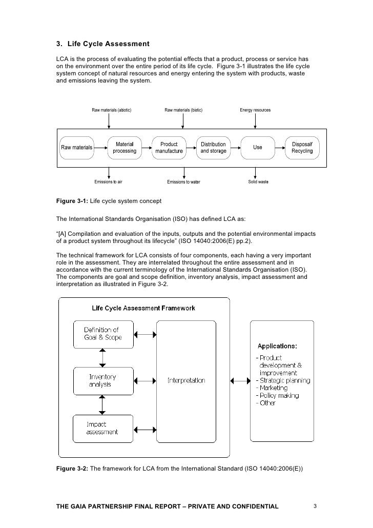 writing response essay structure year 7