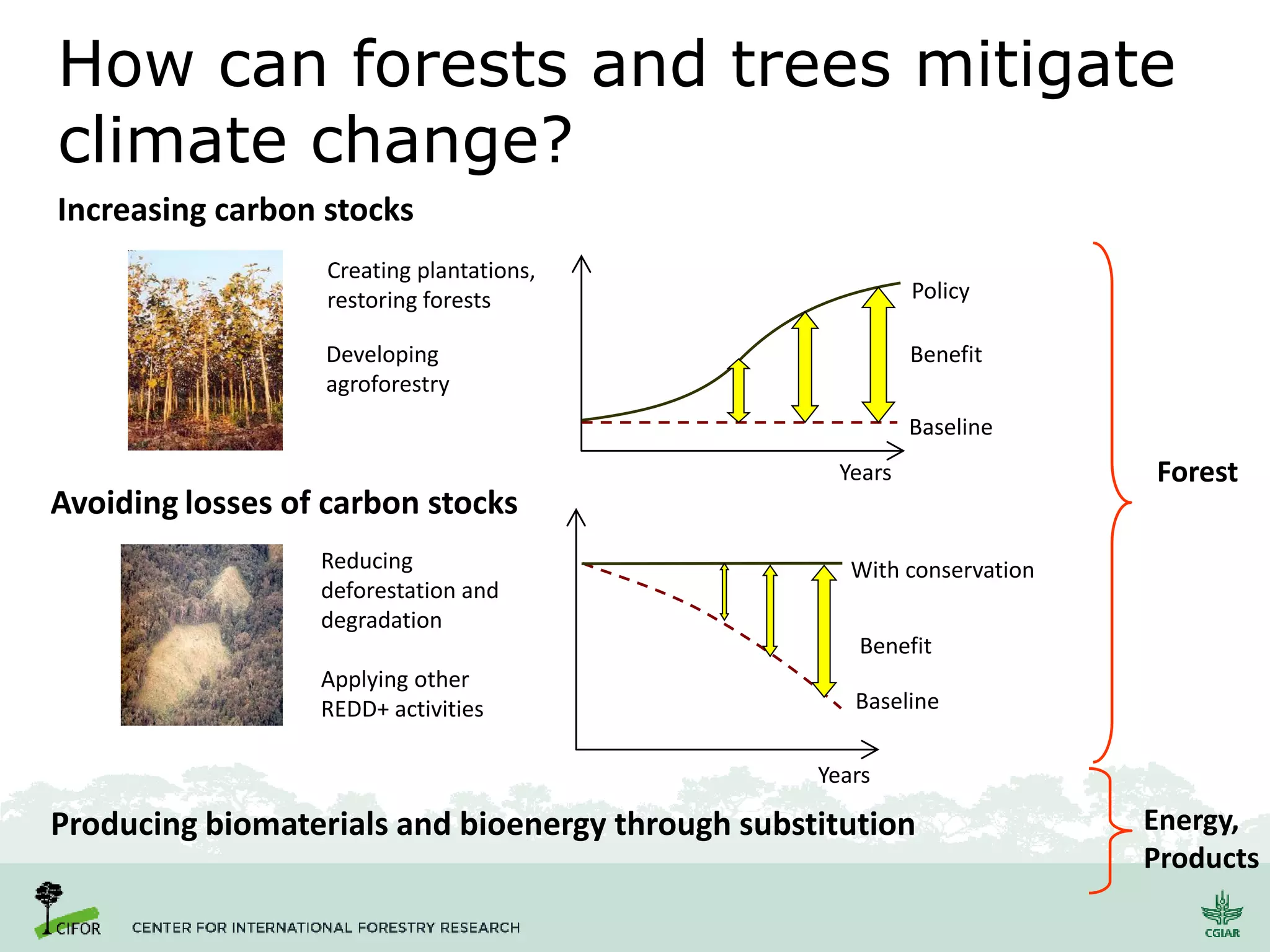 How can forests and trees mitigate
climate change?
Producing biomaterials and bioenergy through substitution
Forest
Energy,
Products
Developing
agroforestry
Creating plantations,
restoring forests
Increasing carbon stocks
Years
Policy
Baseline
Benefit
Avoiding losses of carbon stocks
Reducing
deforestation and
degradation
Applying other
REDD+ activities
Years
With conservation
Baseline
Benefit
 