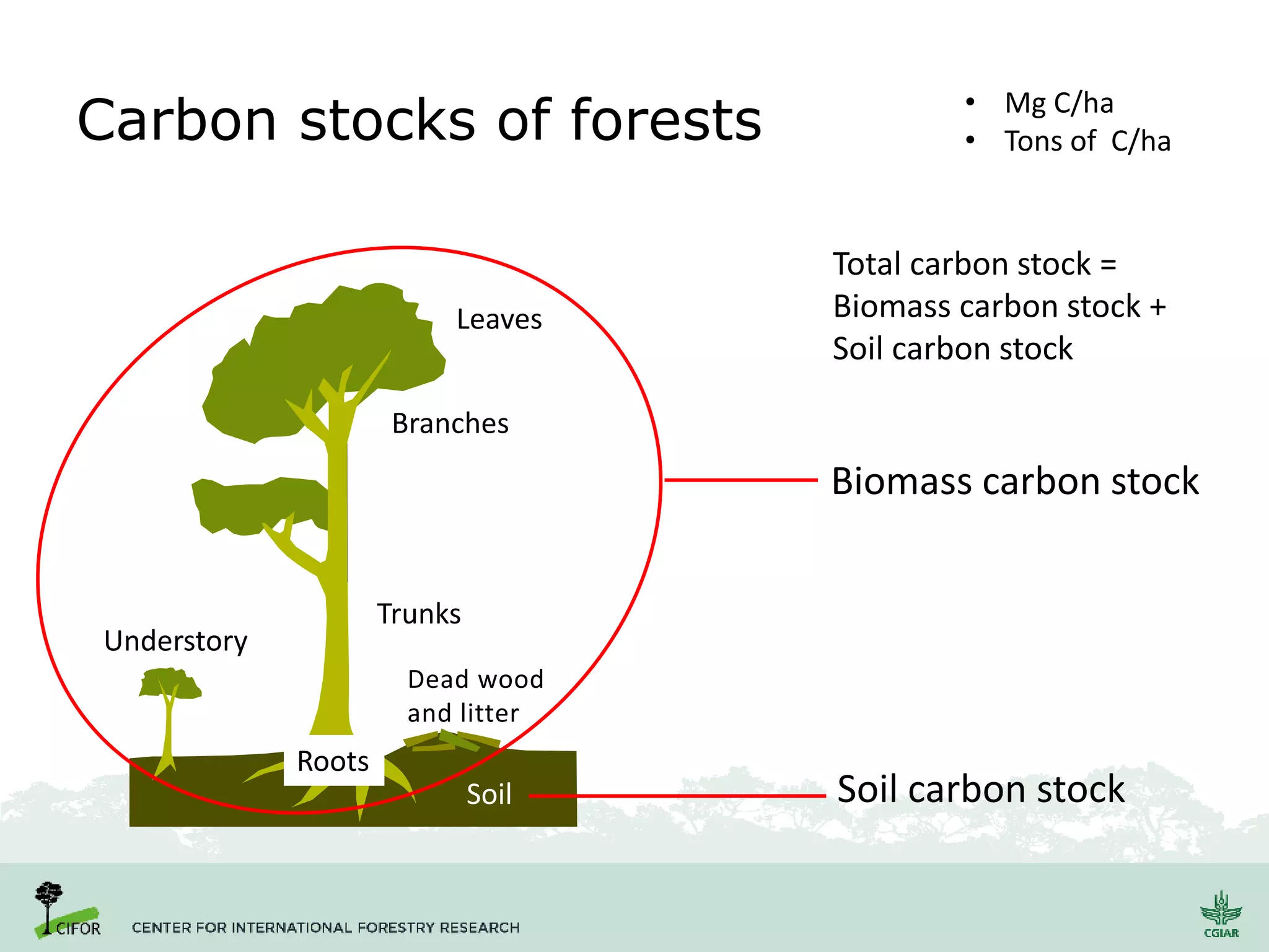 Carbon stocks of forests
Leaves
Branches
Dead wood
and litter
Soil
Roots
Trunks
Understory
Biomass carbon stock
Soil carbon stock
• Mg C/ha
• Tons of C/ha
Total carbon stock =
Biomass carbon stock +
Soil carbon stock
 