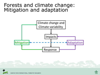 Forests and climate change:
Mitigation and adaptation
Climate change and
Climate variability
Impacts
Responses
AdaptationMitigation
 