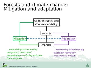 Forests and climate change:
Mitigation and adaptation
Climate change and
Climate variability
Impacts
Responses
AdaptationMitigation
… maintaining and increasing
ecosystem C pools and C
sequestration – reducing emissions
from biosphere
… maintaining and increasing
ecosystem resilience –
reducing vulnerability
 