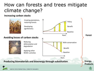 How can forests and trees mitigate
climate change?
Producing biomaterials and bioenergy through substitution
Forest
Energy,
Products
Developing
agroforestry
Creating plantations,
restoring forests
Increasing carbon stocks
Years
Policy
Baseline
Benefit
Avoiding losses of carbon stocks
Reducing
deforestation and
degradation
Applying other
REDD+ activities
Years
With conservation
Baseline
Benefit
 