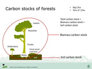 Carbon stocks of forests
Leaves
Branches
Dead wood
and litter
Soil
Roots
Trunks
Understory
Biomass carbon stock
Soil carbon stock
• Mg C/ha
• Tons of C/ha
Total carbon stock =
Biomass carbon stock +
Soil carbon stock
 