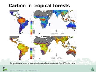 Carbon in tropical forests
http://www.nasa.gov/topics/earth/features/earth20110531-i.html
 