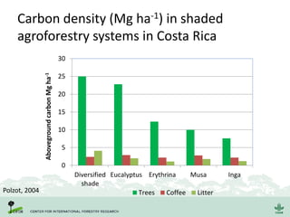 Carbon density (Mg ha-1) in shaded
agroforestry systems in Costa Rica
0
5
10
15
20
25
30
Diversified
shade
Eucalyptus Erythrina Musa Inga
AbovegroundcarbonMgha-1
Trees Coffee LitterPolzot, 2004
 