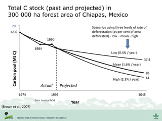 1984
1990
63.6
Actual Projected
37.4
Low (0.4% / year)
20
Mean (1.6% / year)
14High (2.3% / year)
70
19961974 2045
Year
Data: Landsat MSS
Total C stock (past and projected) in
300 000 ha forest area of Chiapas, Mexico
(Brown et al., 2007)
Scenarios using three levels of rate of
deforestation (as per cent of area
deforested) - low – mean - high
 