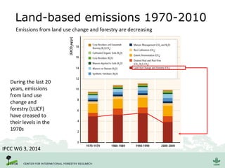 Land-based emissions 1970-2010
During the last 20
years, emissions
from land use
change and
forestry (LUCF)
have creased to
their levels in the
1970s
IPCC WG 3, 2014
Emissions from land use change and forestry are decreasing
 