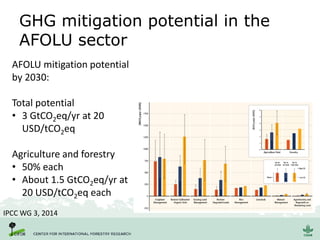 GHG mitigation potential in the
AFOLU sector
IPCC WG 3, 2014
AFOLU mitigation potential
by 2030:
Total potential
• 3 GtCO2eq/yr at 20
USD/tCO2eq
Agriculture and forestry
• 50% each
• About 1.5 GtCO2eq/yr at
20 USD/tCO2eq each
 