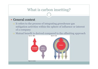 Carbon insetting to confront climate change, improve farmer livelihoods and enhance s uppl y chain resilience