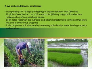 2. As soil conditioner / ameliorant
• Incorporating 10-15 bags (10 kg/bag) of organic fertilizer with CRH into
20 plots of seedbed at 1 m x 20 m each plot (400 sq. m) good for a hectare
makes pulling of rice seedlings easier.
• CRH helps replenish the nutrients and other microelements in the soil that were
lost due to continuous cropping.
• It also improves soil structure by increasing bulk density, water holding capacity,
and aeration.
 