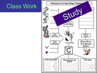 Copyright Richards 2009
Class Work
 