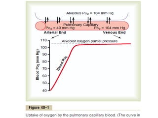 Carbon monoxide Poisoning imp on respiratory systemacts.pptx
