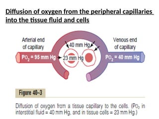 Diffusion of oxygen from the peripheral capillaries
into the tissue fluid and cells
 