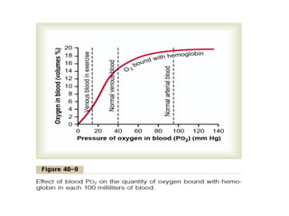 Carbon monoxide Poisoning imp on respiratory systemacts.pptx