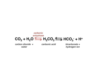 Carbon monoxide Poisoning imp on respiratory systemacts.pptx