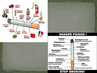 carbon monoxide found in cigarettes Starting National Drug & Alcohol Facts Week off with a commercial tobacco substance that's been around since the 1800s. We've had decades of scientific research and know the harms... Here's a reminder Chemicals